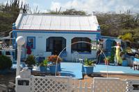 Inselrundfahrt in den Norden von Aruba (4)