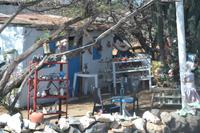 Inselrundfahrt in den Norden von Aruba (5)