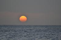 Katamaranfahrt Barbados (1)