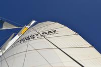 Katamaranfahrt Barbados (2)