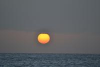 Katamaranfahrt Barbados (8)