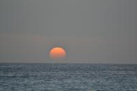 Katamaranfahrt Barbados (11)