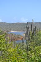 Lake Goto - Bonaire (3)