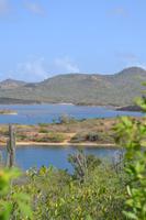 Lake Goto - Bonaire (6)