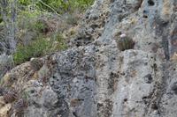 Landschaftsfahrt Bonaire (3)