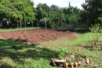 Lauras Spice Garden - Grenada (15)