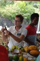 lokale Früchte St. Lucia (1)