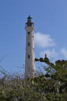 Nordlüste von Aruba (1)