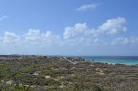 Nordlüste von Aruba (3)