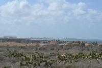 Nordlüste von Aruba (4)