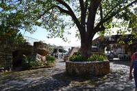 Oranjestad Aruba (1)