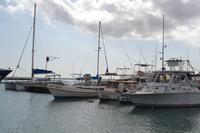 Oranjestad Aruba (5)