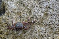 Oranjestad Aruba (12)