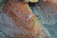 Oranjestad Aruba (15)