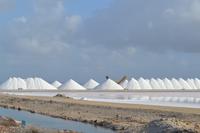 Salzanlage Bonaire (2)
