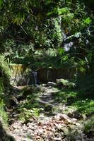 Sulphur Springs Quelle St. Lucia (2)