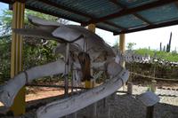 Washington Slagbaai National Park (1)