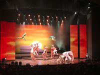 Musical Show Mein Schiff