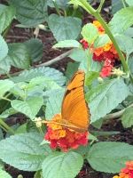 Flora und Fauna in voller Pracht