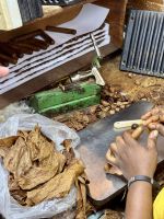 Herstellung von Zigarren