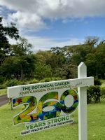 Botanischer Garten auf St. Vincent