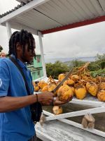 Fotostopp mit erfrischender Kokosnuss