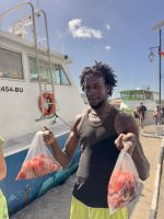 Frischer Fisch an der Waterfront