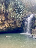 Erfrischendes Bad im Annandale-Wasserfall
