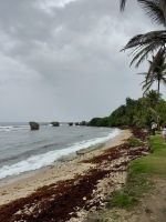 Bathsheba an der wilden Ostküste