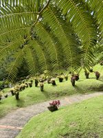 Traumhaft schöner Balata-Garten