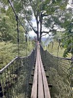 Abenteuer Hängebrücke im Balata-Garten