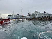 Viel los auf der kleinen Insel