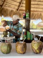 Eine letzte Kokosnuss am Strand schlürfen