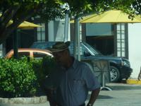 der echte Panama-Hut