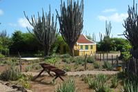 im Washington Slaagbei Nationalpark