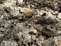 Cueva de las Maravillas