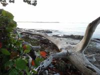 Unser 5-Sterne-Hotel: Dreams La Romana Spa & Resort