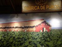 Zigarrenfabrik in der Nähe von La Romana