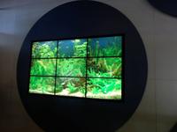 Schiffsrundgang - Blaue Welt Bar