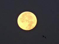 Impressionen bei Nacht