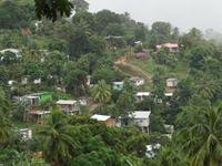 Immergrünes St. Lucia!