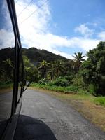 Hügelige Busfahrt über St. Lucia