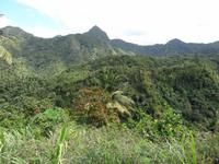 Herrlicher Ausblick auf St. Lucia!