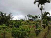 Grand Etang Nationalpark