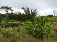 Grand Etang Nationalpark