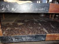 ... Wissenswertes zur Muskatnuss