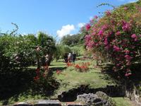 Pflanzenvielfalt im Garten der Rumfabrik