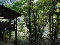 Besuch der Trafalgar Wasserfälle