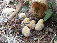 Auf dem Weg vom Strand zum Bus
