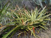 Auf dem Weg vom Strand zum Bus